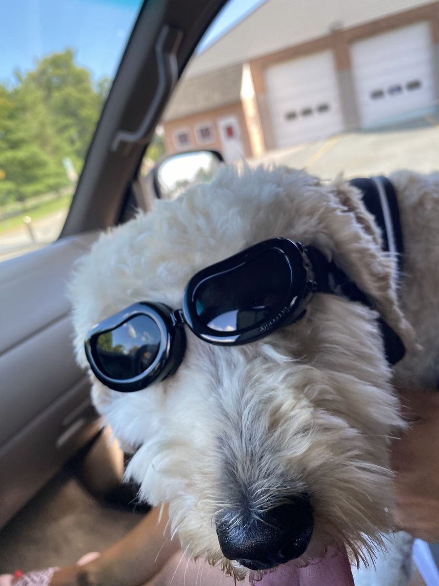 Bendel wearing doggles sunglasses
