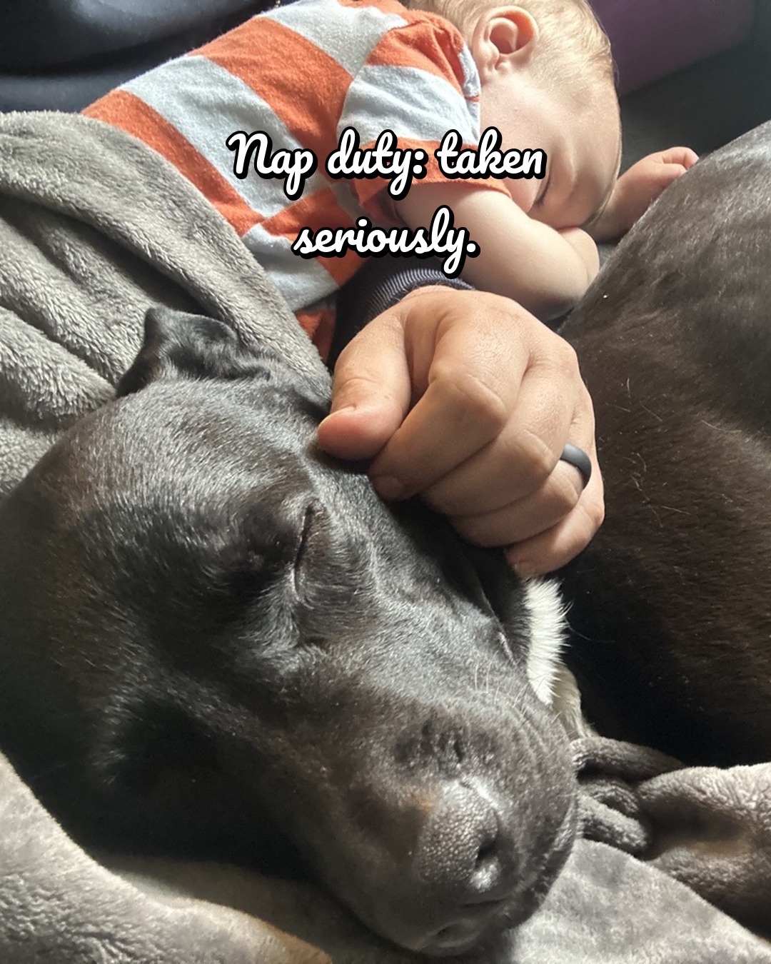 Nova, a black dog, fast asleep on nap duty beside her tiny human Elena under a gray blanket; the photo is captioned 'Nap duty: taken seriously.'